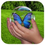 4 Seasons 5 Senses - An Interactive Childrens Flashcard Story Book HD