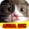 Easy Animal Quiz - Free Animals Puzzle Game For Kids