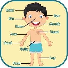 Activities of Learning Human Body Parts - Baby Learning Body Parts