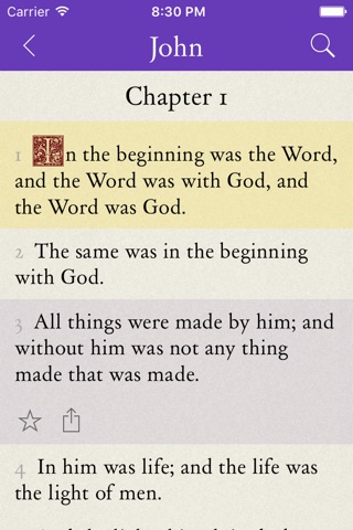 Holy Bible  - Halo Bible Reader screenshot 4