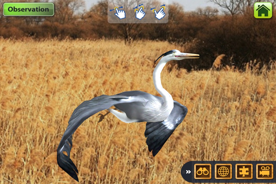 EVOBIRD 3D HOM - B plus AR Book screenshot 2
