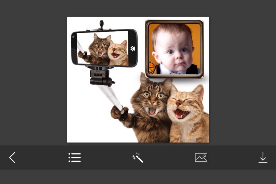 Funny Photo Frames - Decorate your moments with elegant photo frames screenshot 2