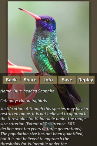 Hummingbirds Puzzles screenshot 4