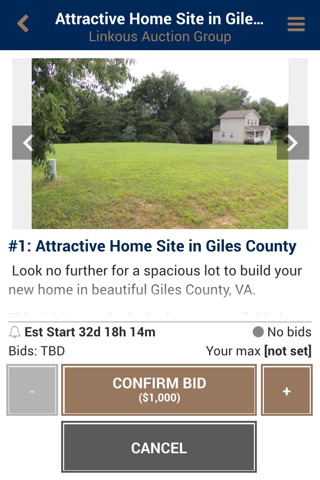 Linkous Auction Group screenshot 3