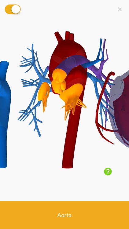 3D Anatomie teachr