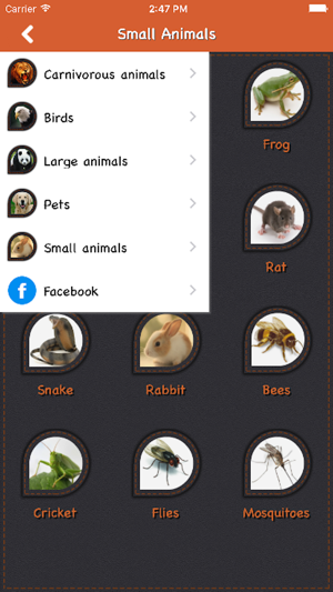 Animal Sound For Child(圖3)-速報App