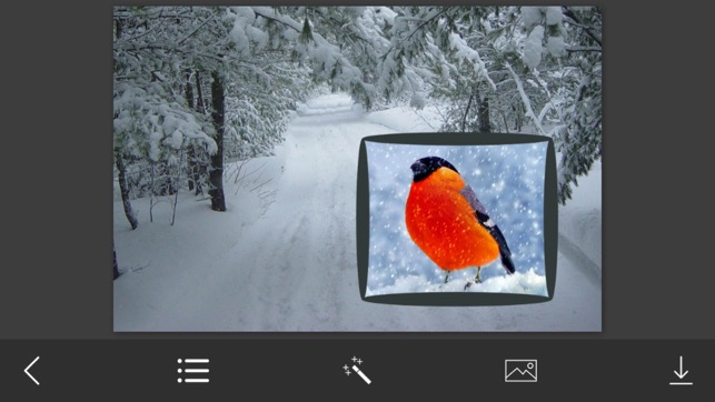 Snow Photo Frame - Art Photography & mega Frames(圖4)-速報App