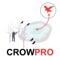 Crow Hunt Planner for Crow Hunting AD FREE CROWPRO