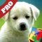 Jigsaw Puzzles World (HD) For Kids - (Pro)