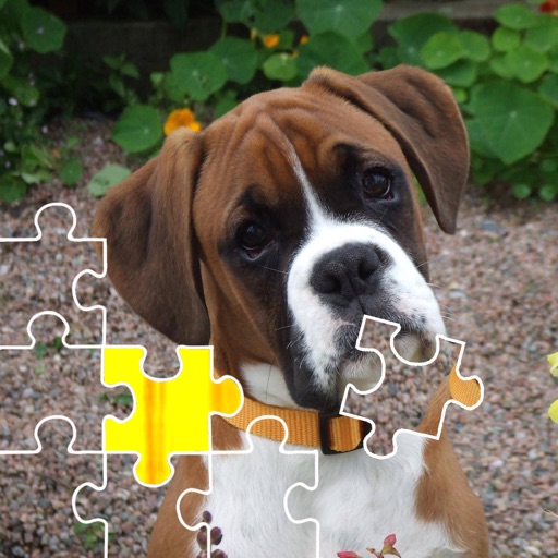 Dogs and Cats Puzzles icon