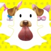 SnapFilters - Use filters for snapchat to make stuning dog face and emjis