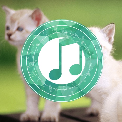 Cat Sounds Relax and Sleep: Calming music and gentle songs to relax and calm down for toddlers