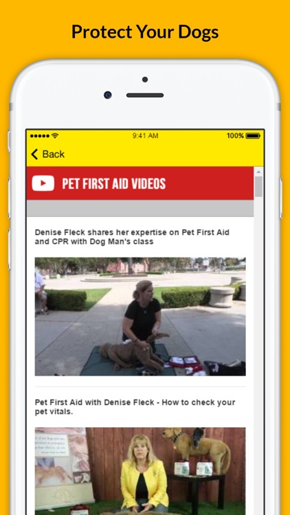 Pet First Aid - Responsibilities of a Pet Owner screenshot-3