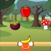 Catch Fruits App