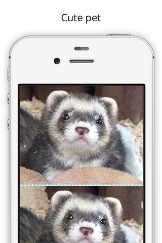 Find the Difference in Ferret screenshot 3
