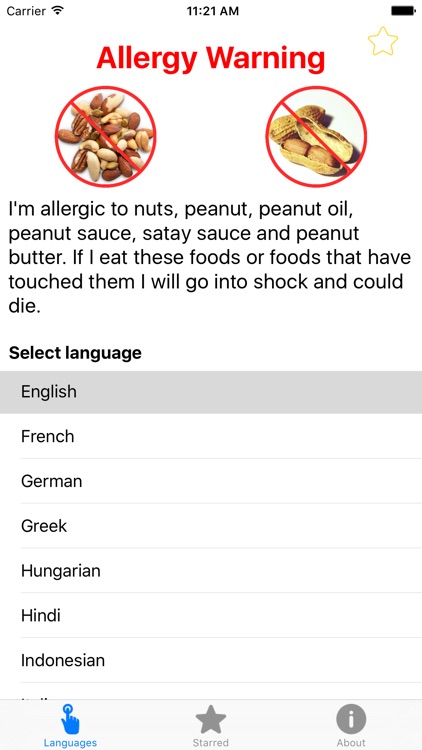 Nuts & Peanuts Allergy Translation Travel Card