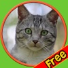 amazing cats for kids - free