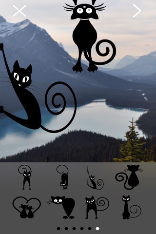 Now That's Cats & Kittens: Turn Your Photos Into Greeting Cards With Stickers screenshot 3