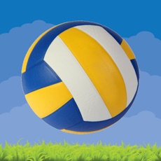 Activities of Volleyball Volley