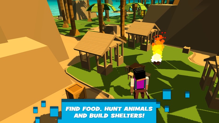 Top Down Island Survival Simulator 3D