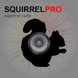 REAL Squirrel Calls and Squirrel Sounds for Bird Hunting! -- (ad free) BLUETOOTH COMPATIBLE