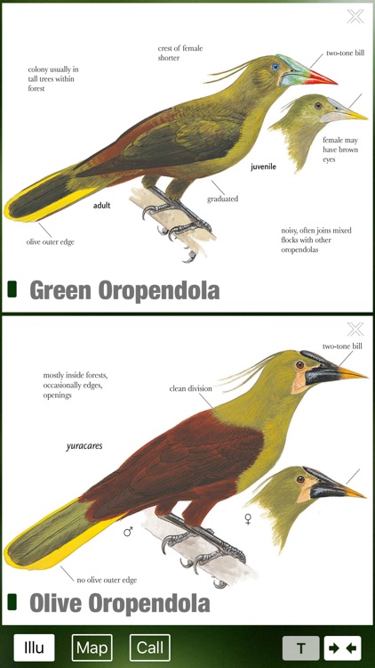 All Birds Ecuador - a complete field guide to all the bird species recorded in Ecuador screenshot-3