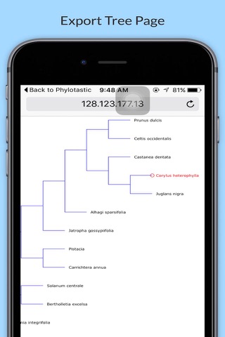 Phylotastic screenshot 4