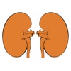 Diabetic Nephropathy Management Support - DNMS