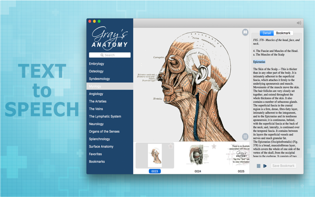 Gray’s Anatomy HD for Students(圖2)-速報App