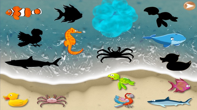 Wimmelbuch Pirat und Meer