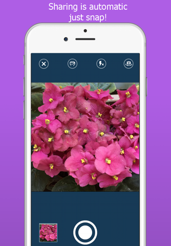 PhotoStorm App screenshot 3