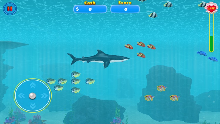 Shark Attack Adventure. Hungry Great White Dash Beach 3D screenshot-3