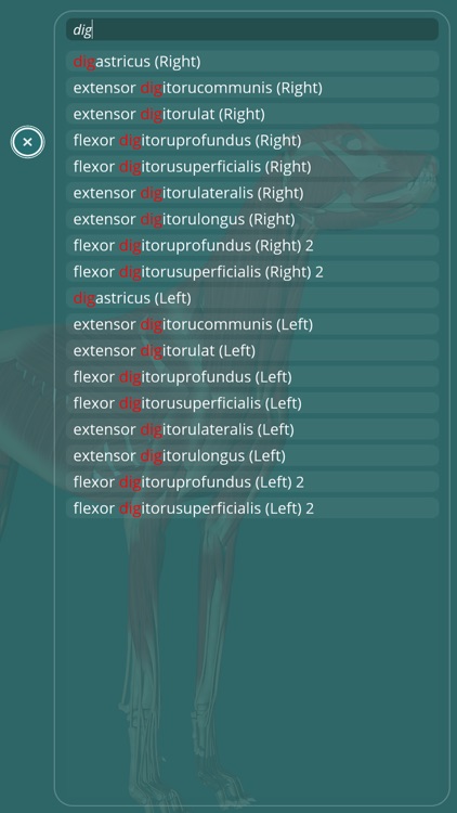 Visual Anatomy - Canine screenshot-4