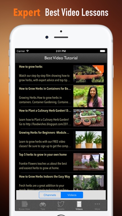 How to Grow Herbs :Tips and Guide