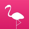 Flamingo - Stream Photos in Realtime