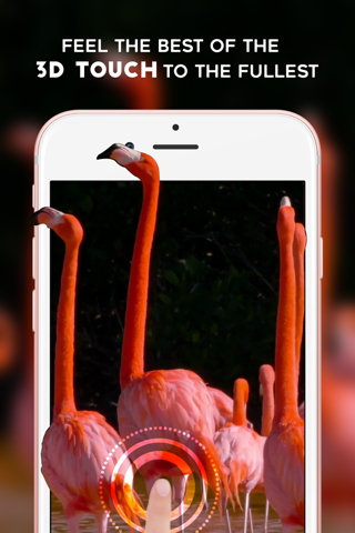 Live Wallpapers - Animated Themes & Backgrounds for iPhone 6S , 6S plus & iPhone SE screenshot 4