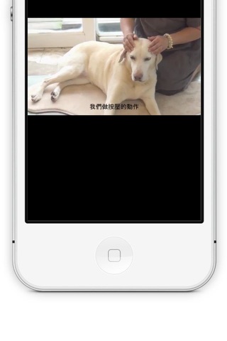 SwiCity – Dog Care Video Channel screenshot 4