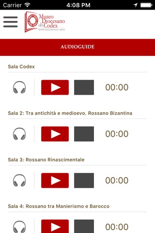 Museo Diocesano e del Codex screenshot 3