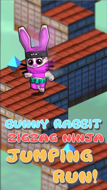 Bunny Rabbit Ninja Jumping Run 3D - Endless animal run