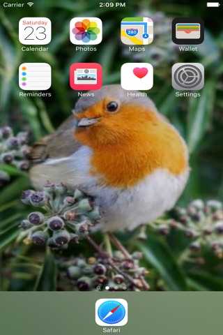 Bird Wallpapers Free screenshot 4