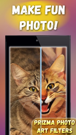 Prizma Photo Art Filters(圖2)-速報App