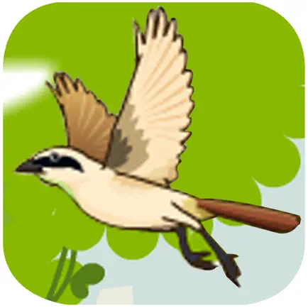 Small Bird Puzzle Game - A fun & addictive puzzle matching game Cheats