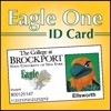 Eagle One Card