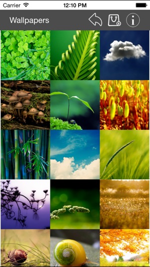 Wallpaper Collection Nature Edition(圖1)-速報App