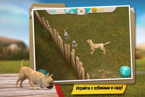 Dog Hotel - Play with dogs screenshot 4