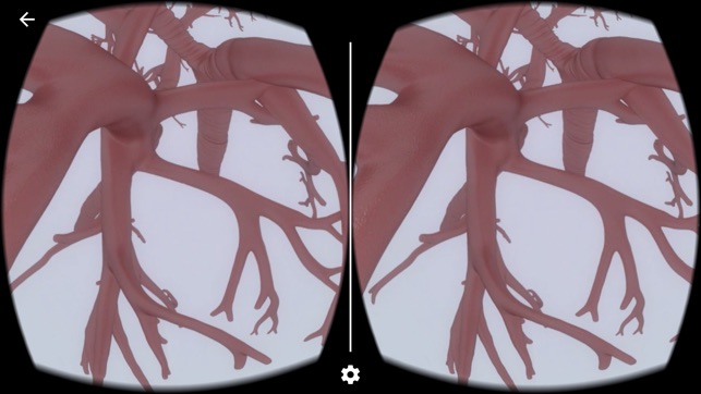 AZ Respiratory VR(圖4)-速報App