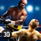 Become a pro boxer with this ultimate box championship simulator in 3D