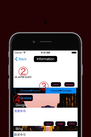 Chinese to French Translator - French to Chinese Language Translation & Dictionary screenshot 2