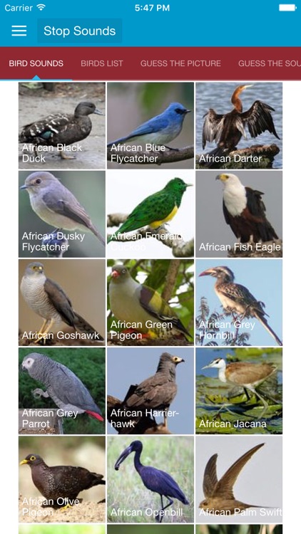 African Birds and Sounds