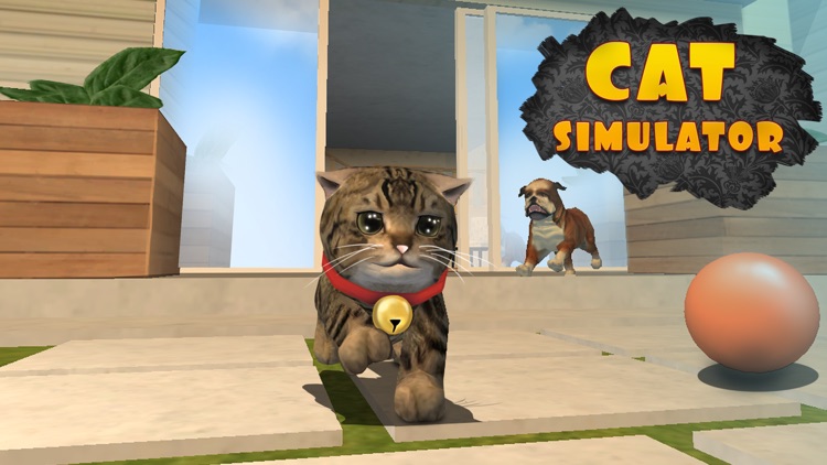 Cat Simulator: Cute Pet 3D screenshot-3